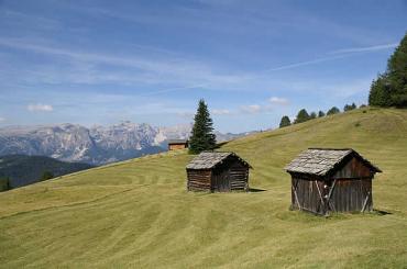 Grappaverkostung in der Scheuen